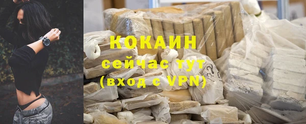 ПСИЛОЦИБИНОВЫЕ ГРИБЫ Инсар