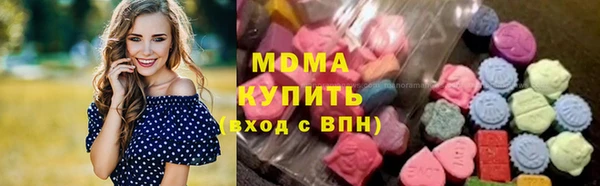 индика Инта
