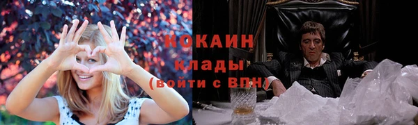 ПСИЛОЦИБИНОВЫЕ ГРИБЫ Инсар
