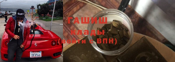 индика Инта