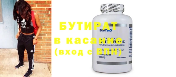 индика Инта