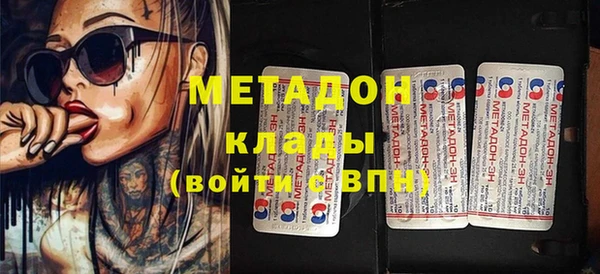индика Инта