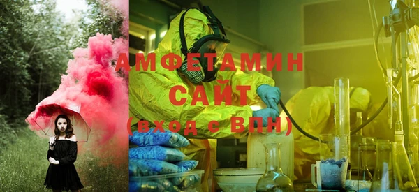 индика Инта