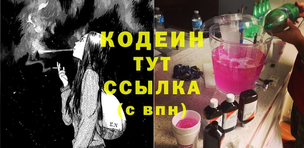 хмурый Елизово