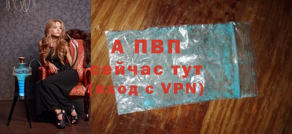 ПСИЛОЦИБИНОВЫЕ ГРИБЫ Инсар