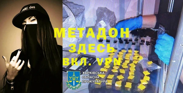 индика Инта