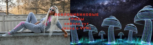 твердый Зеленокумск