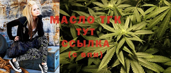 ПСИЛОЦИБИНОВЫЕ ГРИБЫ Инсар