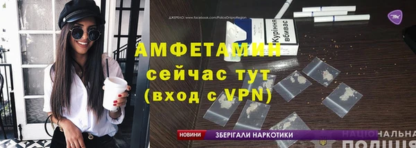 индика Инта