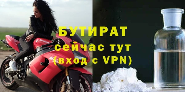 индика Инта