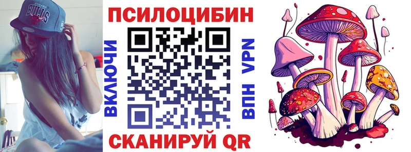 Псилоцибиновые грибы Psilocybine cubensis  Купить где  Медногорск 
