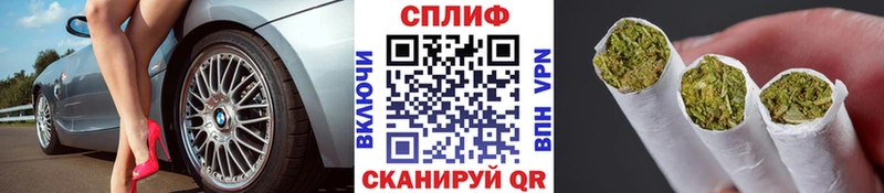Бошки марихуана сатива  Купить закладки  Медногорск 
